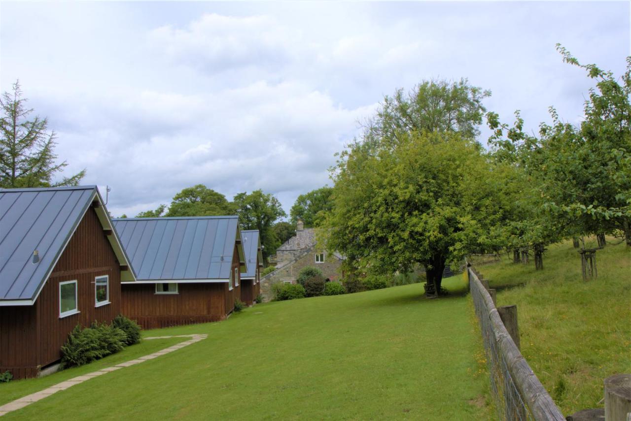 Ta Mill Cottages & Lodges - Meadowview Chalet 4 Launceston Exterior photo